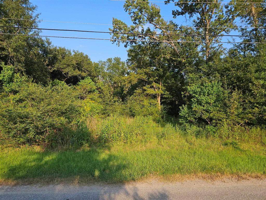 808 Oak Street - Photo 1