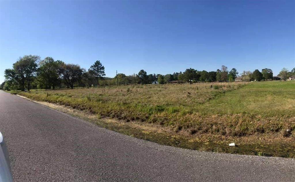 TBD Lake Land Street - Photo 1