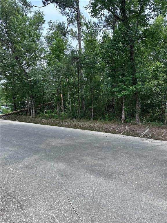  Angus Drive - Photo 1