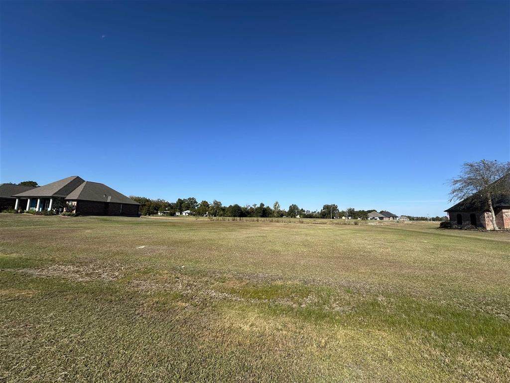 3157 Mesa Lane - Photo 1