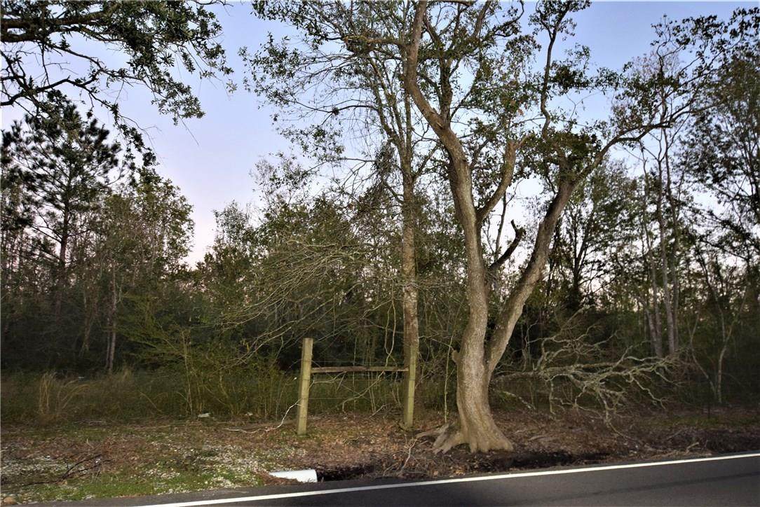 Ledoux Road - Photo 1