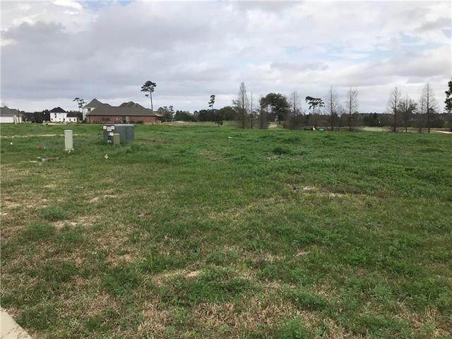 6304 Red Oleander Lane - Photo 1