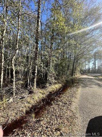 Mcneese Road - Photo 1