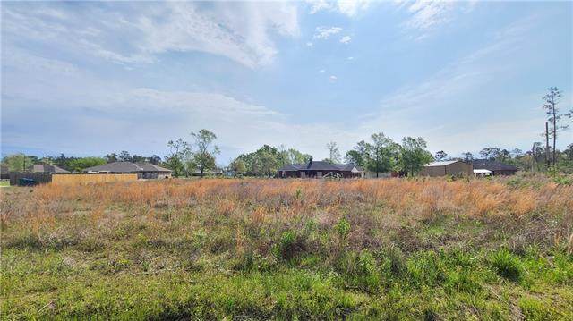 0 Henry Robertson Road - Photo 1