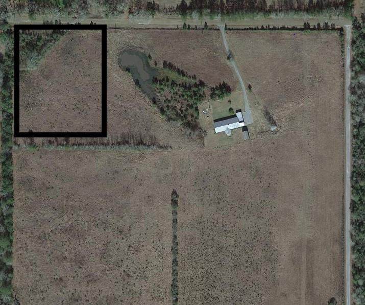 0 Magnolia Church Road - Photo 1