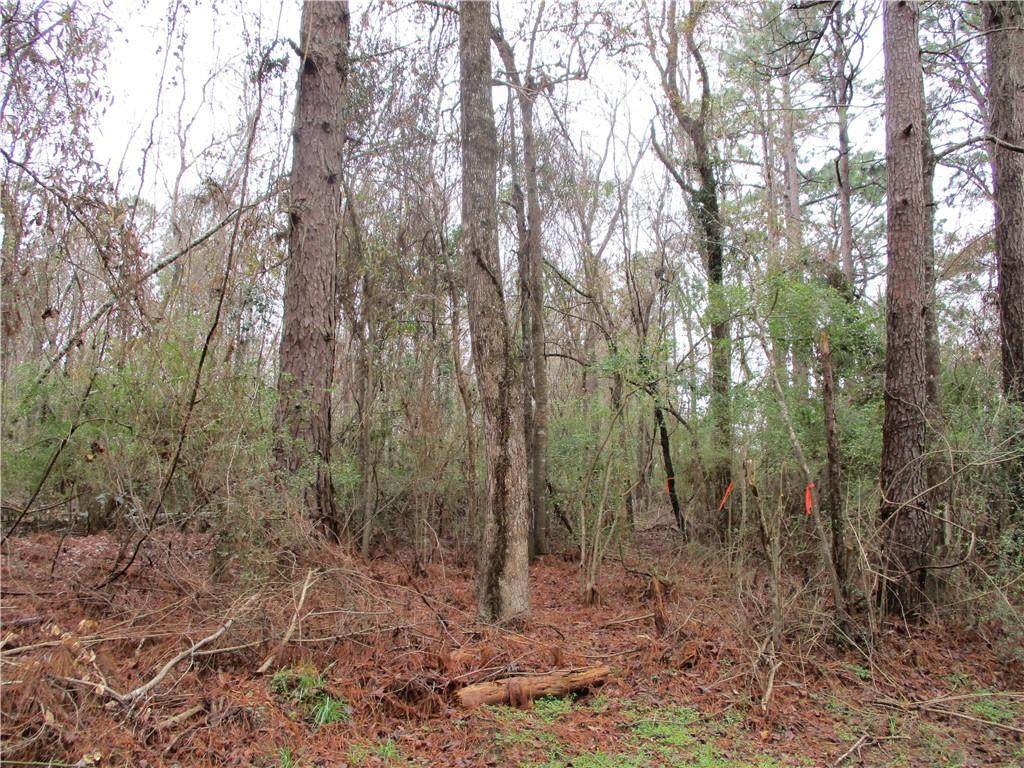 0 A3 Robertson Loop - Photo 1