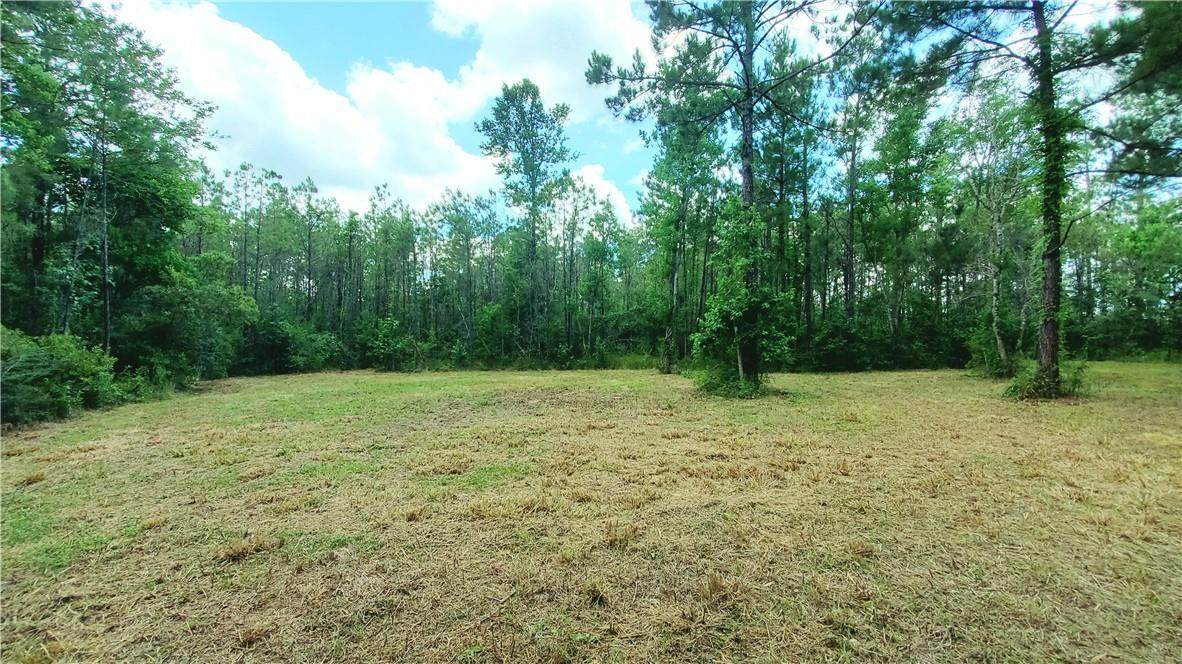 229 Frank Cole Road - Photo 1