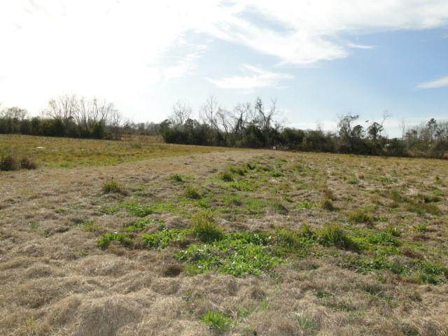 5566 Mott Road - Photo 1