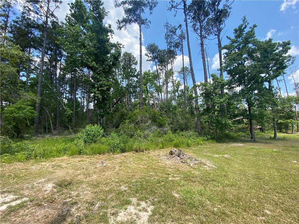 Hebert Cemetery Road - Photo 1