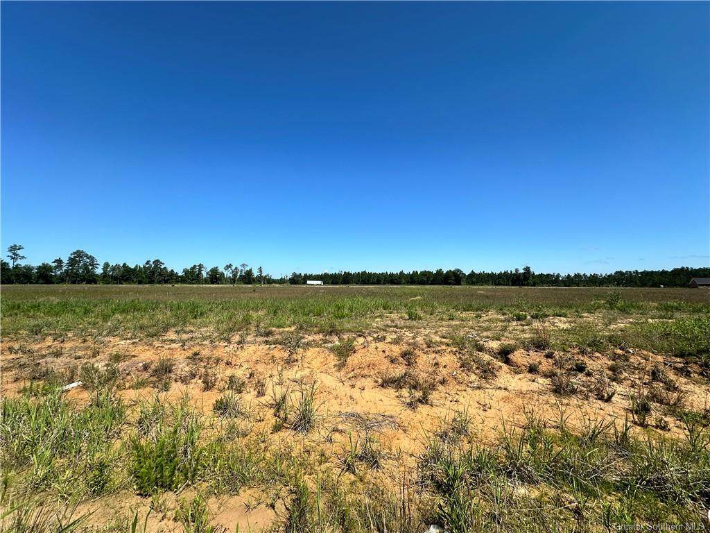 0 Calla Lily Drive - Photo 1