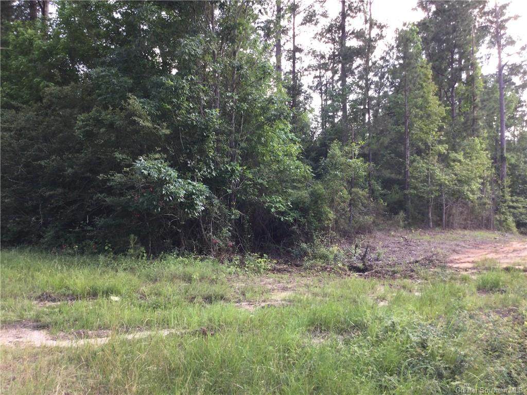 0 Alexandria Highway - Photo 1