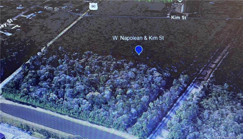 0 Napoleon Street - Photo 1