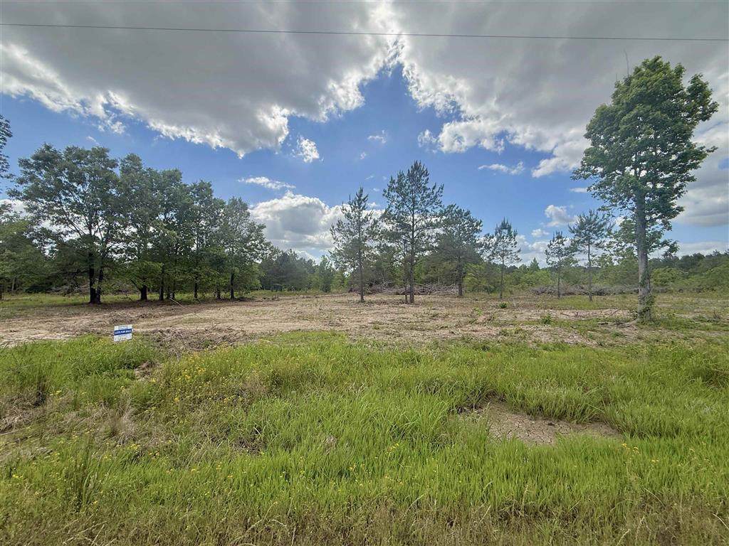  Hwy 383 Highway - Photo 1
