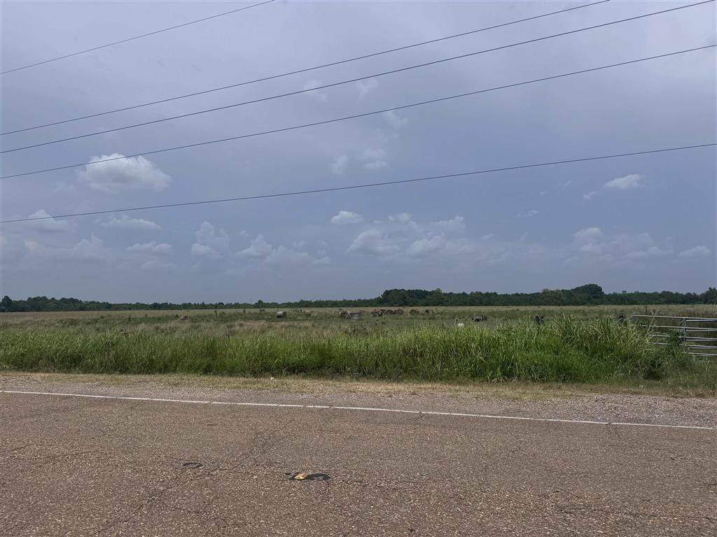 00 Estherwood Highway - Photo 1