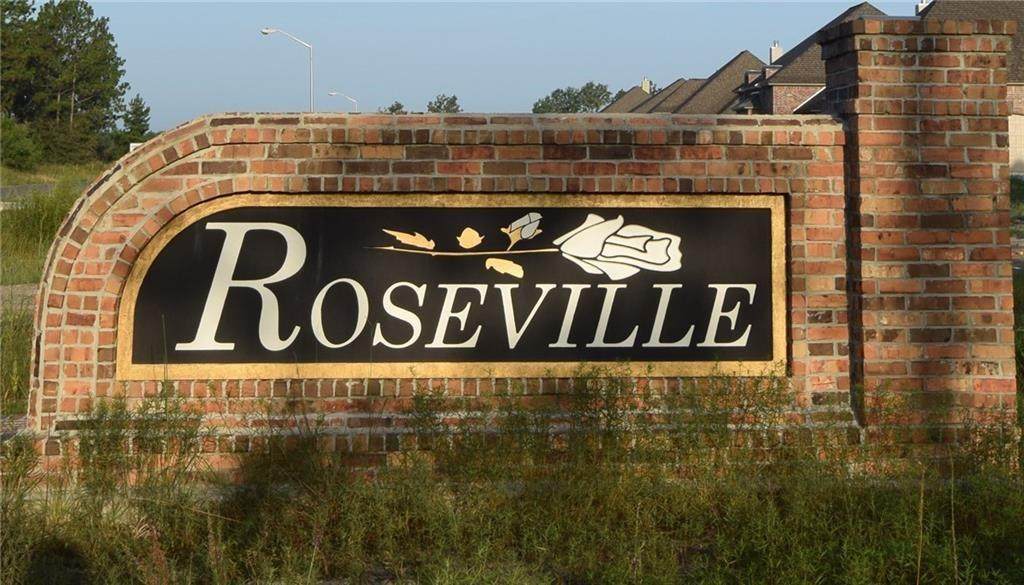 White Rose Lot 19 Lane - Photo 1