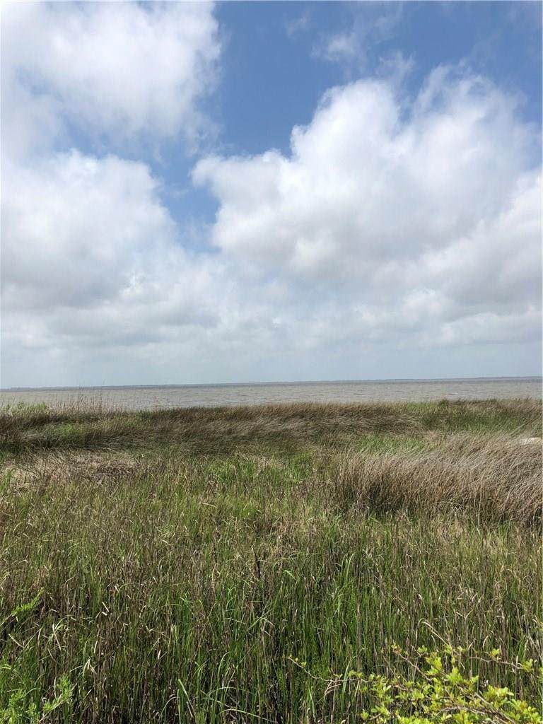 Calcasieu Lake Drive - Photo 1