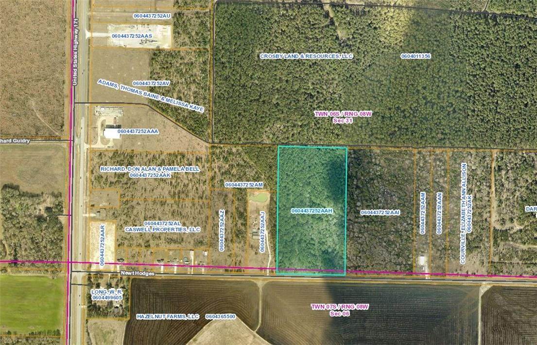 Newt Hodges Road - Photo 1