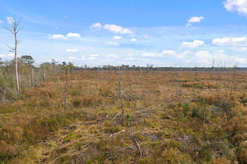 Abie Fontenot Road - Photo 1