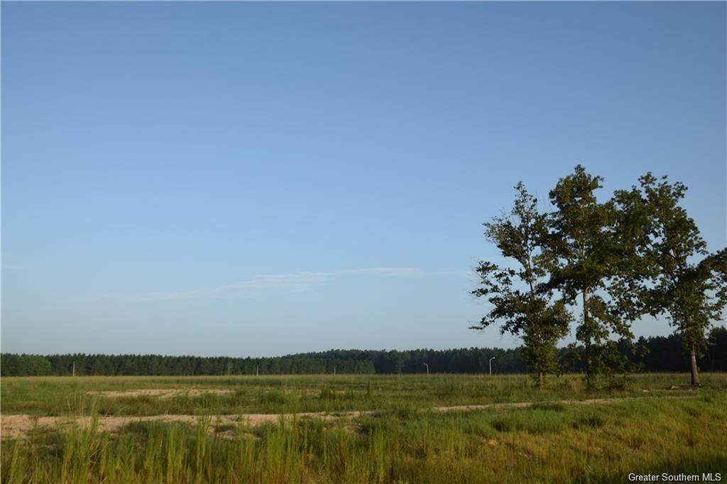 3045 White Rose Lot 31 Lane - Photo 1
