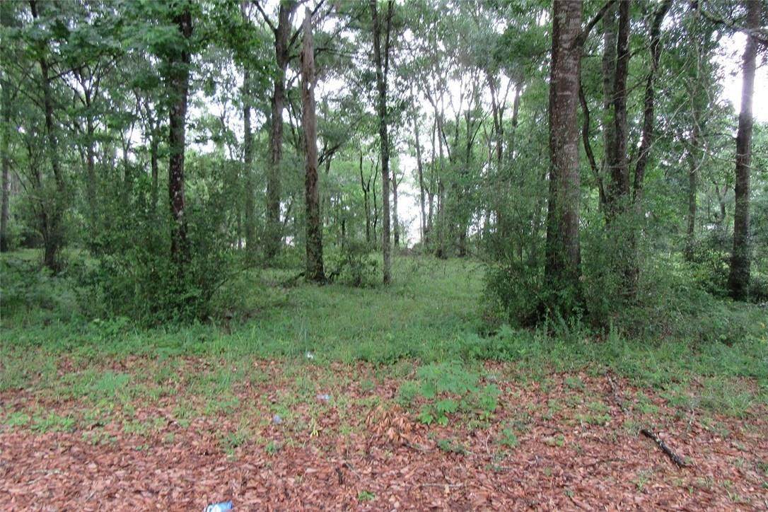 Sam Houston Jones Parkway - Photo 1