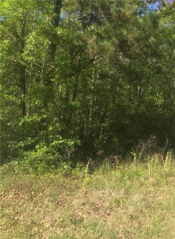  Clyde Parker Road - Photo 1