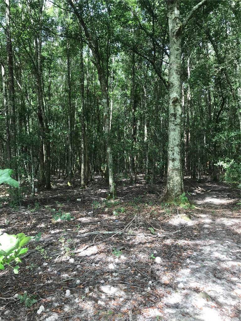 Martin Road - Photo 1