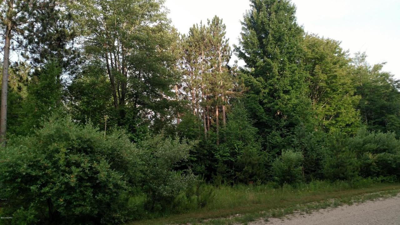 Pine Ridge Drive - Photo 1