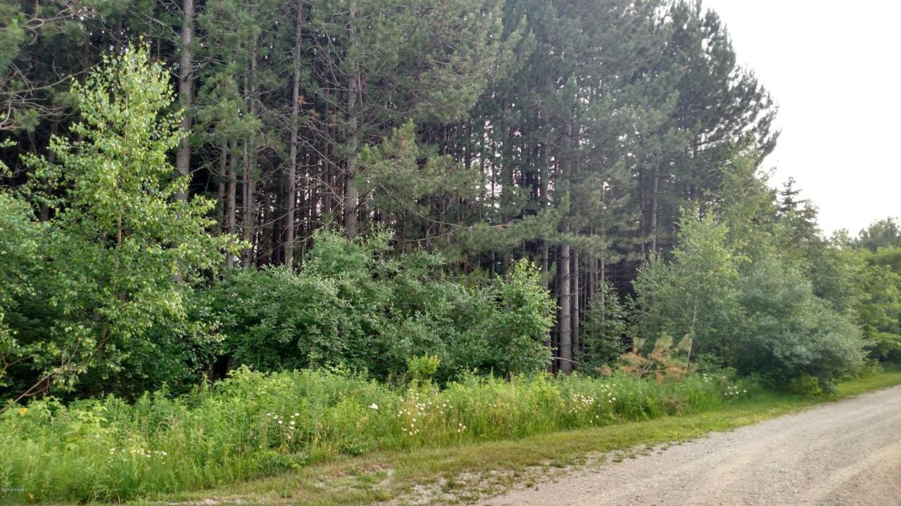 White Birch Drive - Photo 1