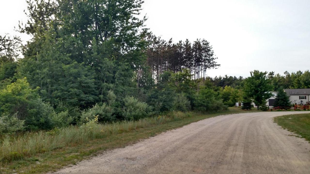 Pine Ridge Drive - Photo 1