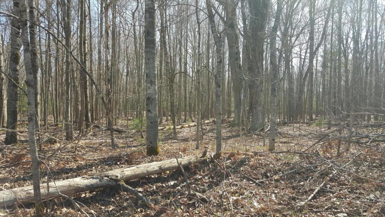 Kinney Road - Photo 1