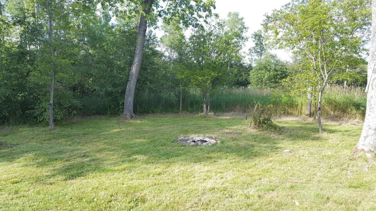 6025 Dorr Road - Photo 1