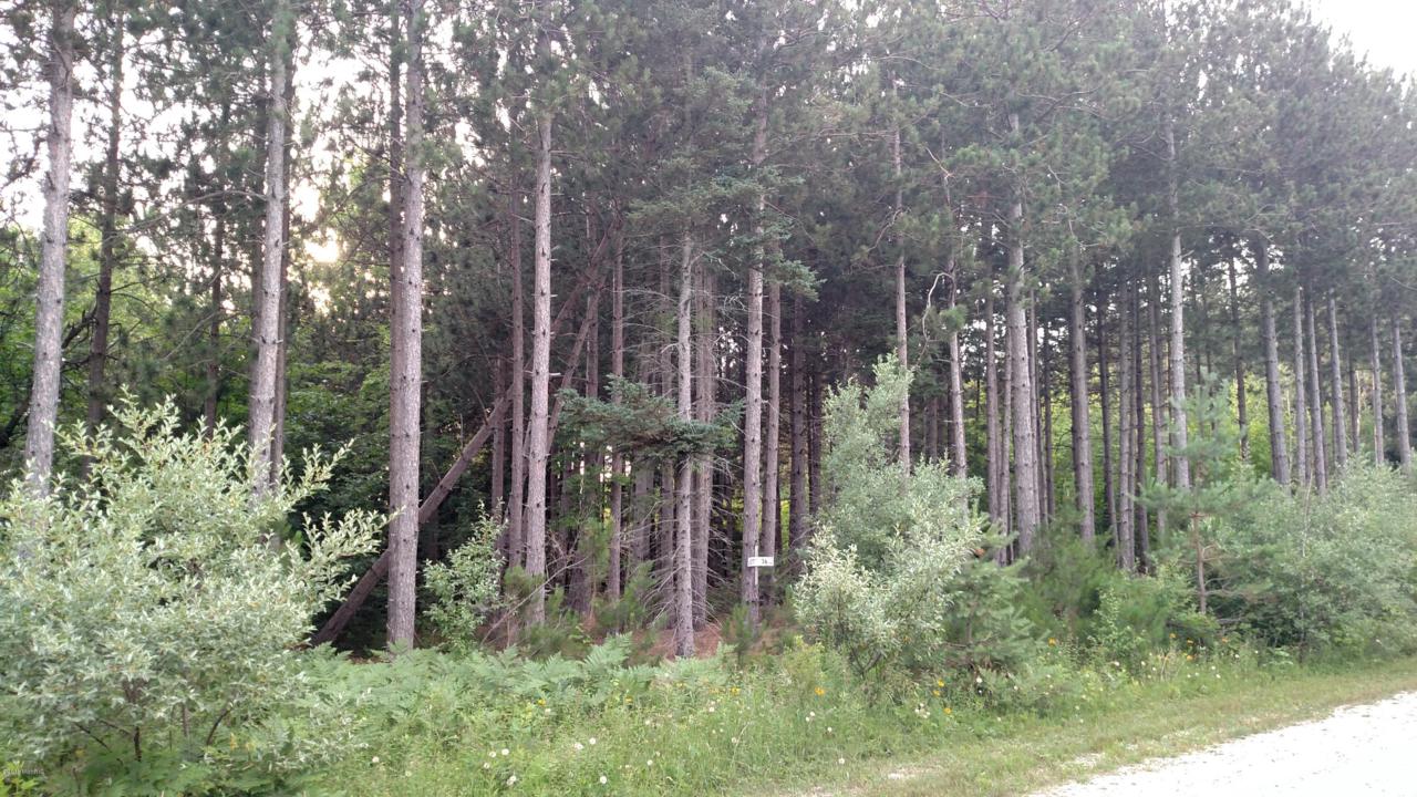 Pine Ridge Drive - Photo 1