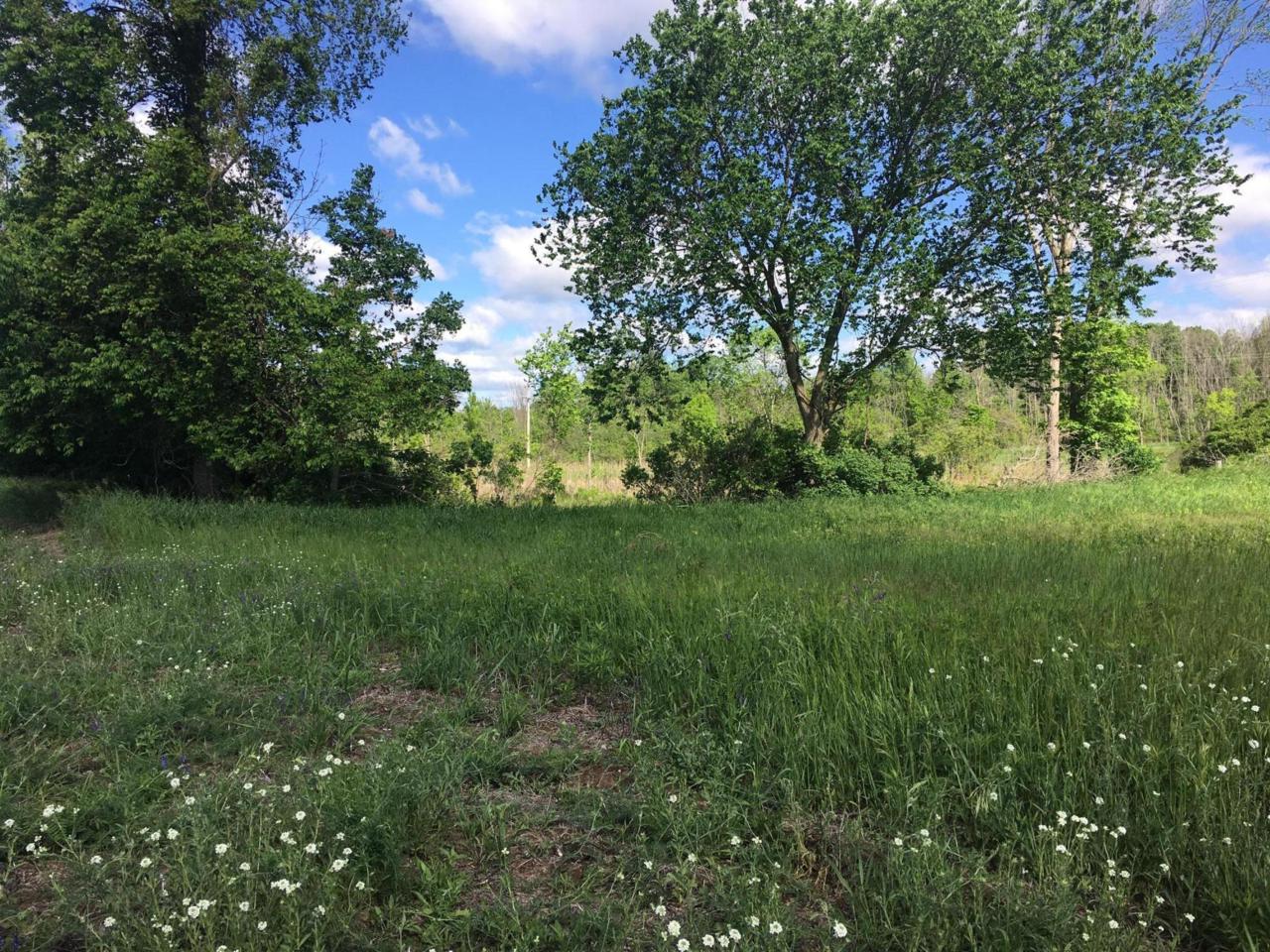 5051 18 Mile Road - Photo 1