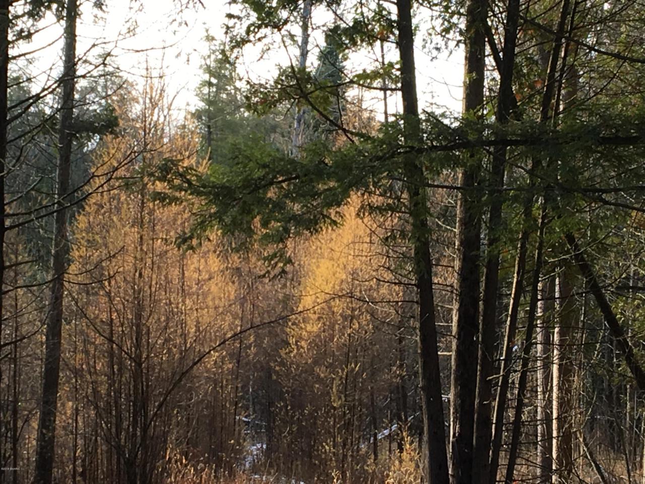 Pierce Road - Photo 1