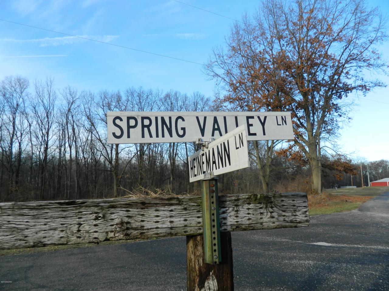 Lot 1 Spring Valley Lane - Photo 1