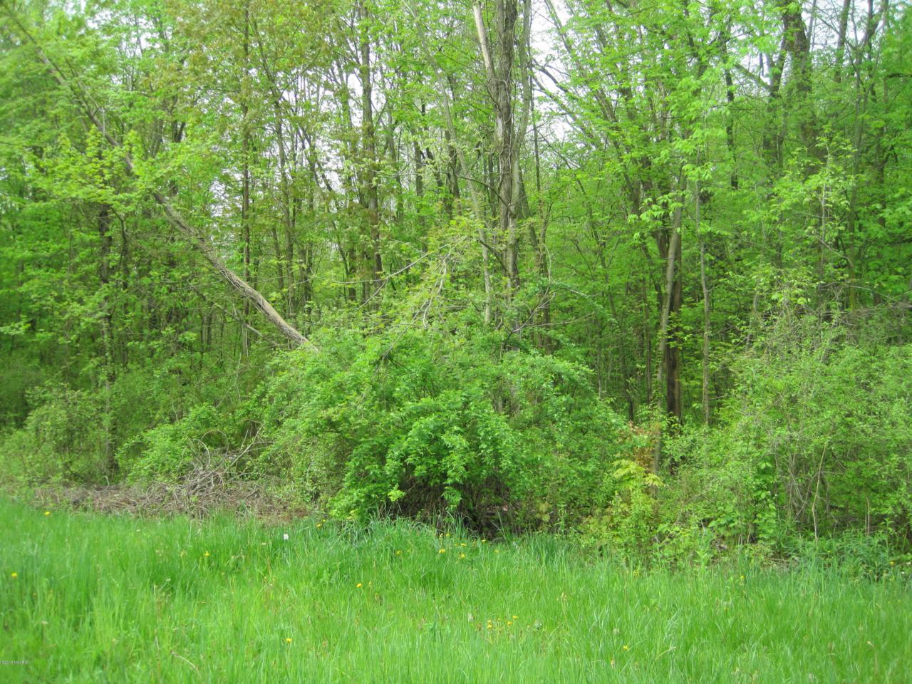 Pine Street - Photo 1