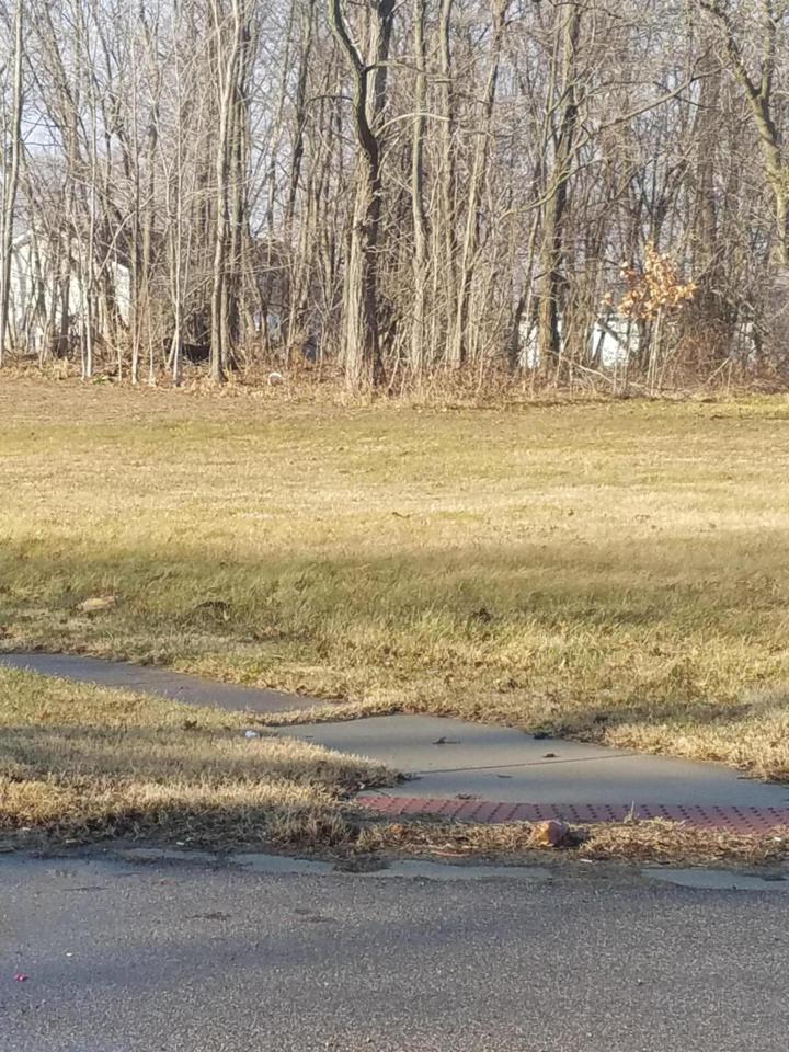 17906 State - Photo 1