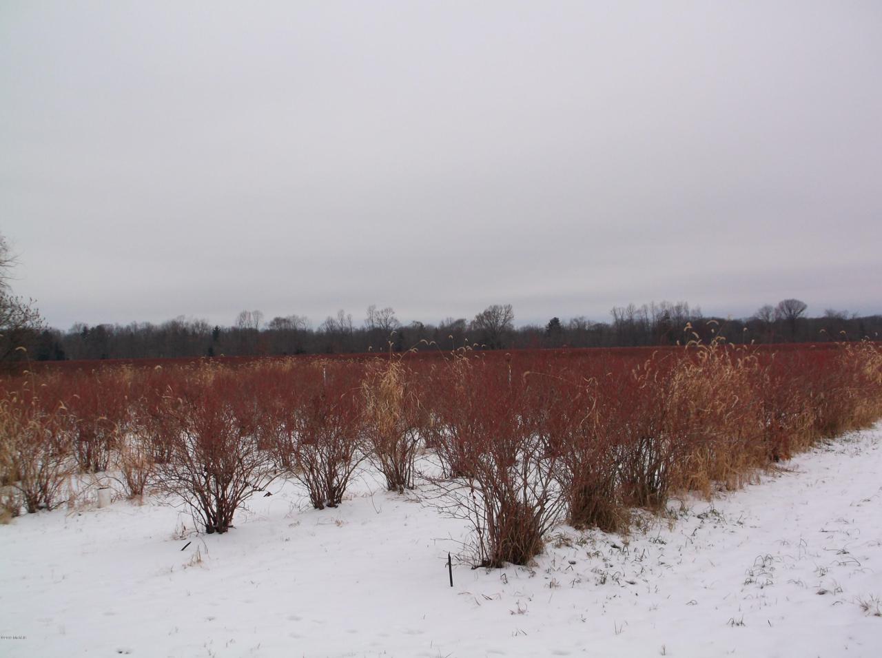 0 28th Avenue - Photo 1