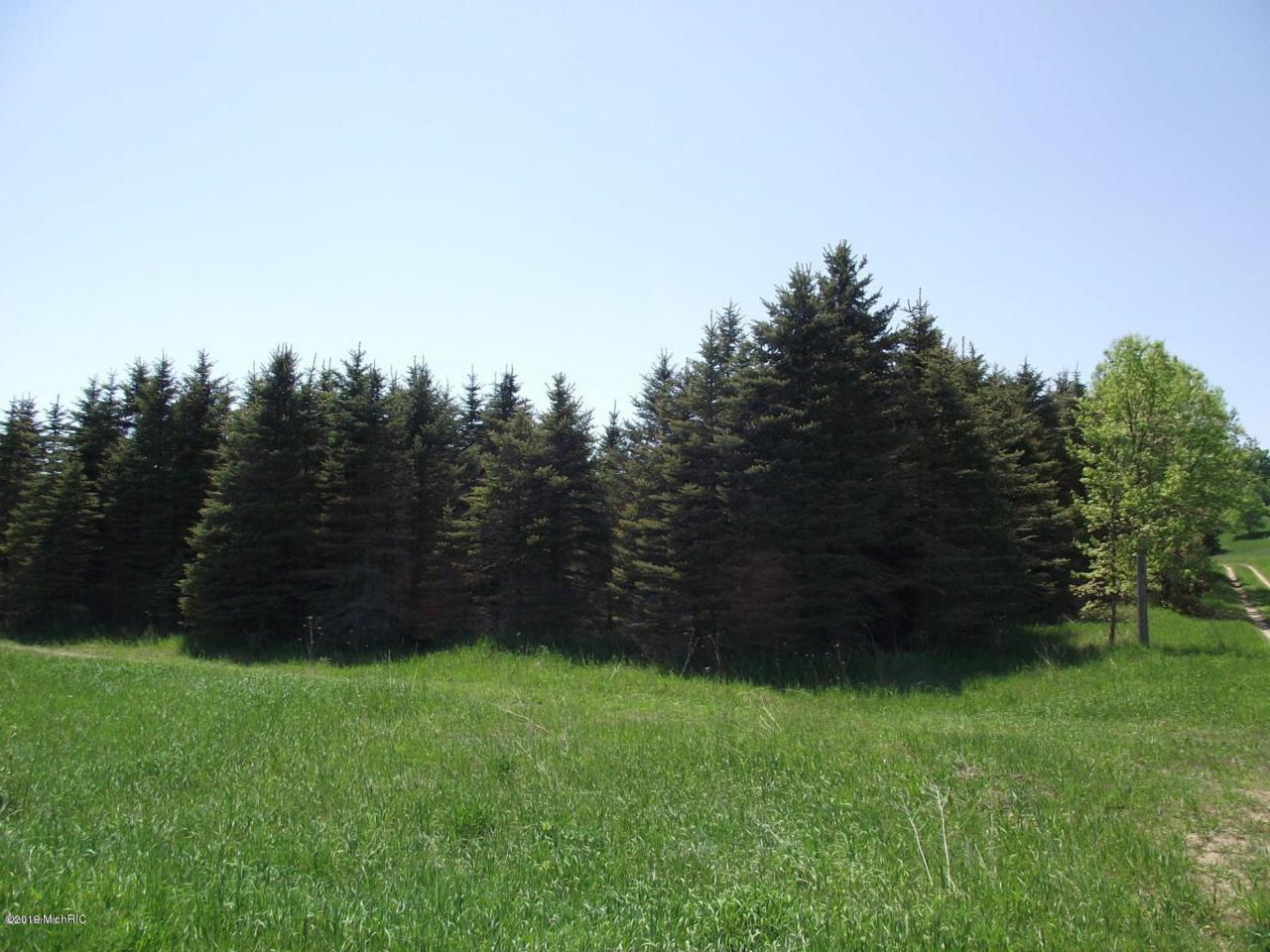 Chief Road - Photo 1