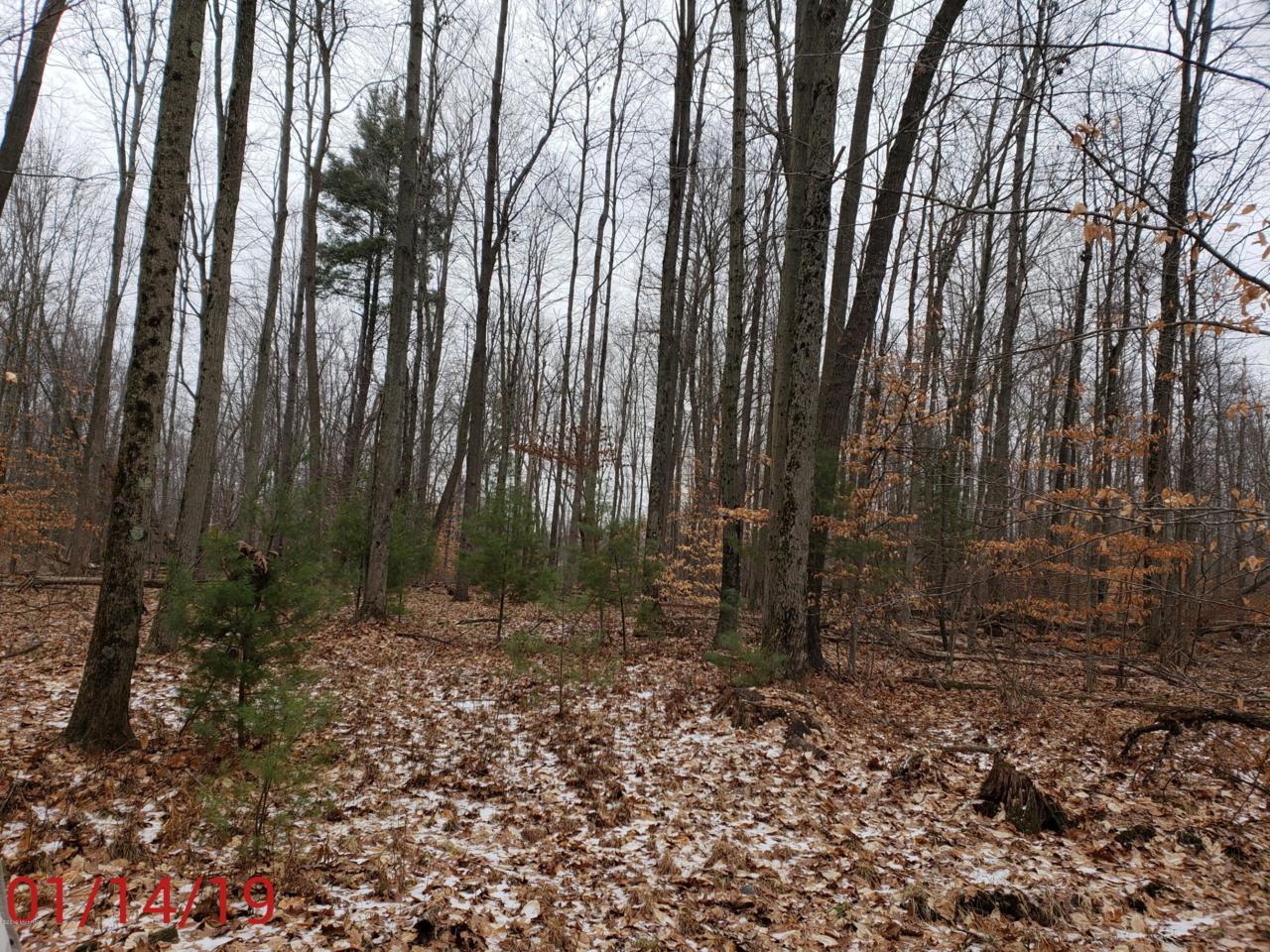 Par A Linden Avenue - Photo 1