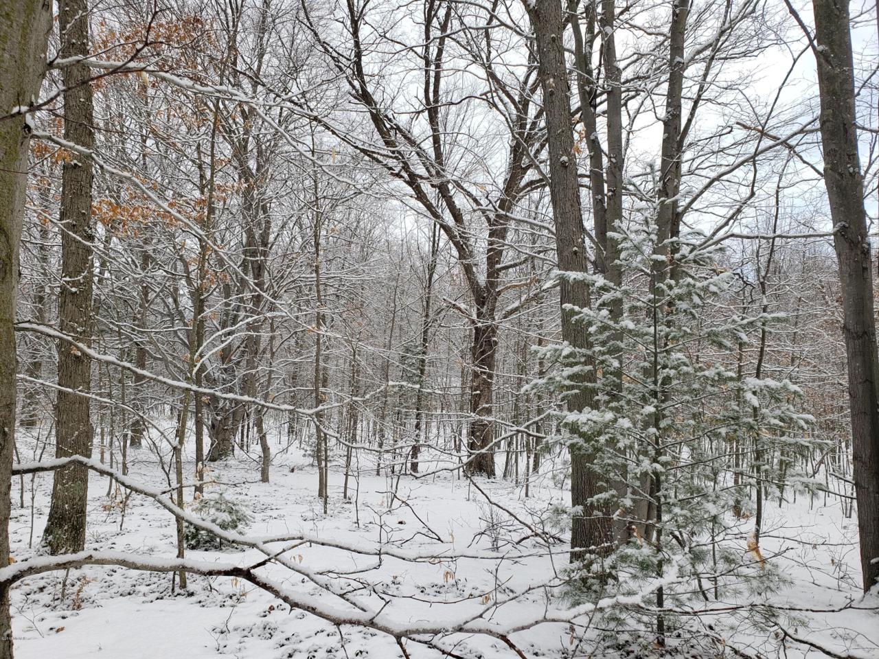 Fox Den Road - Photo 1