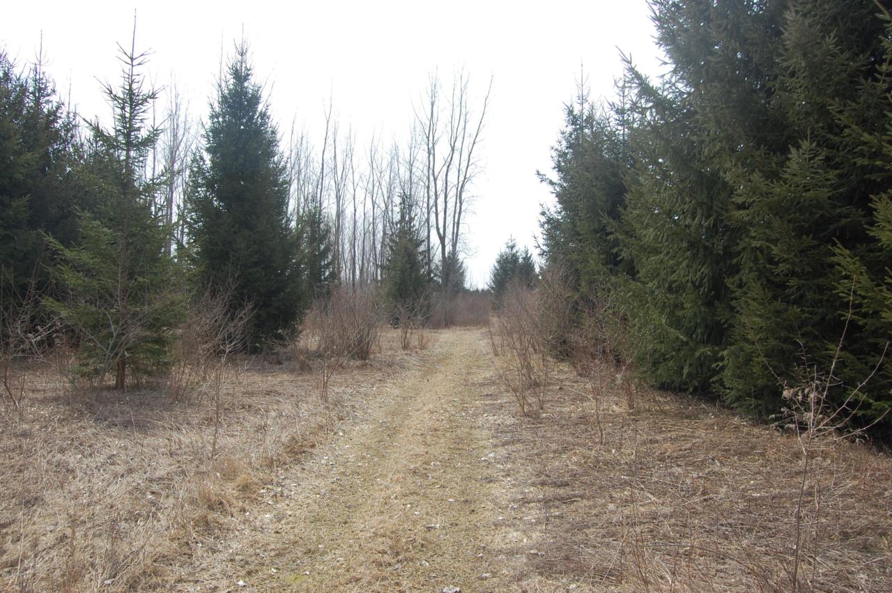 Lyle Road - Photo 1