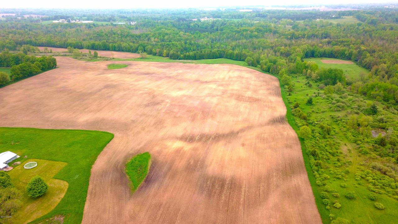 TBD 7 Mile Rd (53 Acres) Road - Photo 1