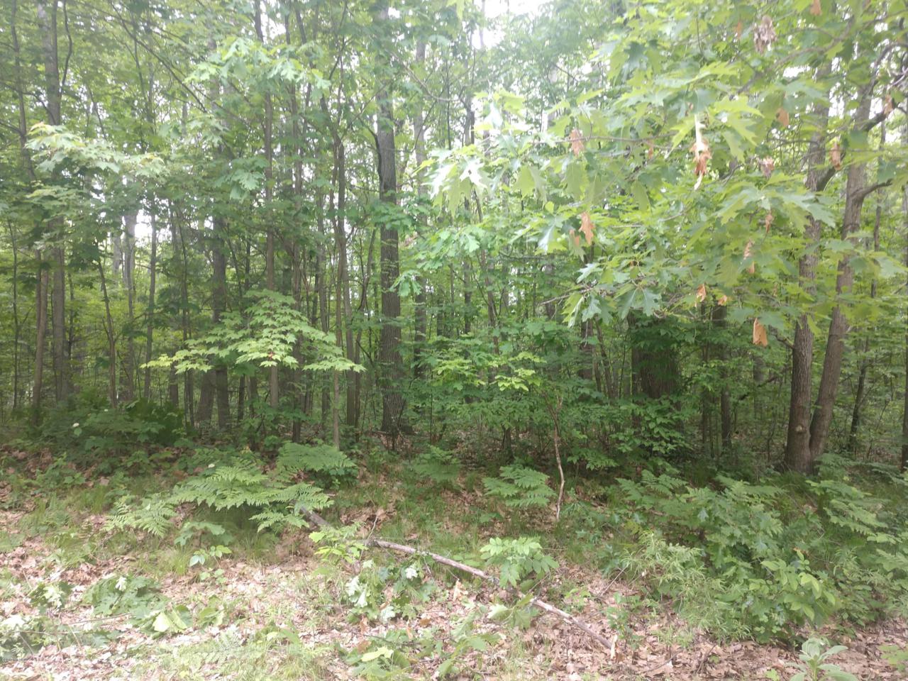 Lot #5 Mulberry Lane - Photo 1