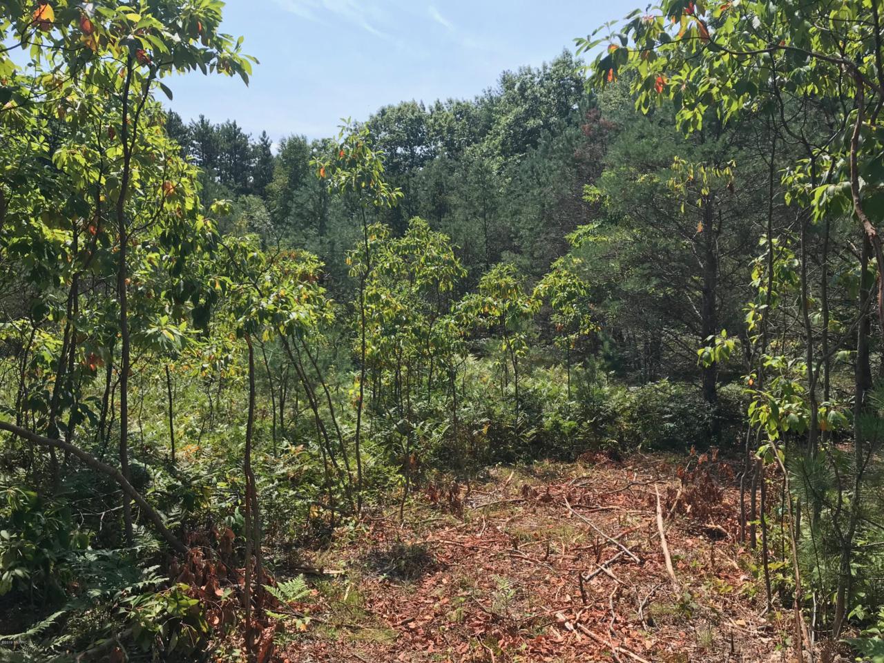 0 152nd Avenue - Photo 1
