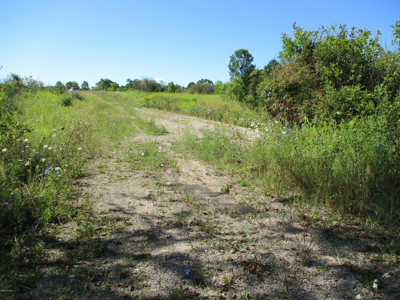 19681 20 Mile Road - Photo 1