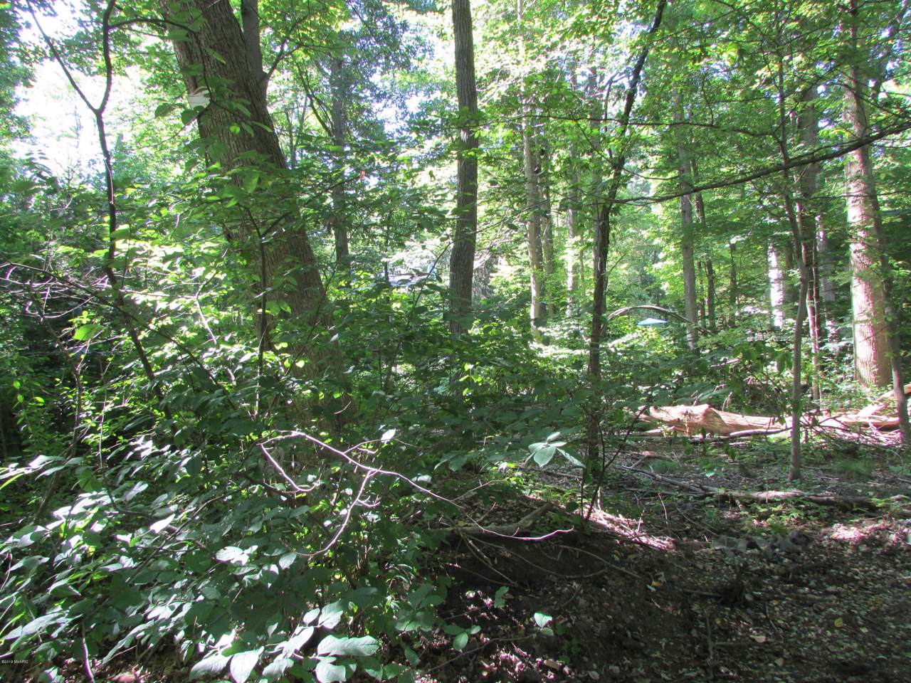 0 Shady Lane - Photo 1