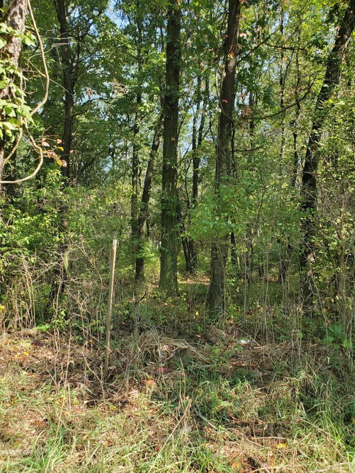 10875 French Road - Photo 1