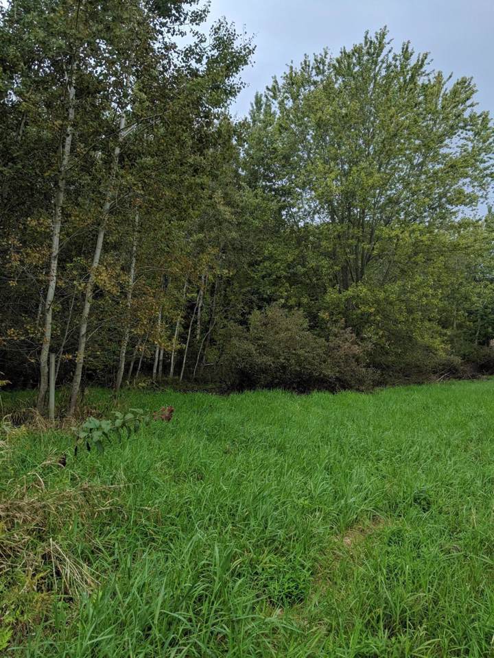 0 Country Lane - Photo 1