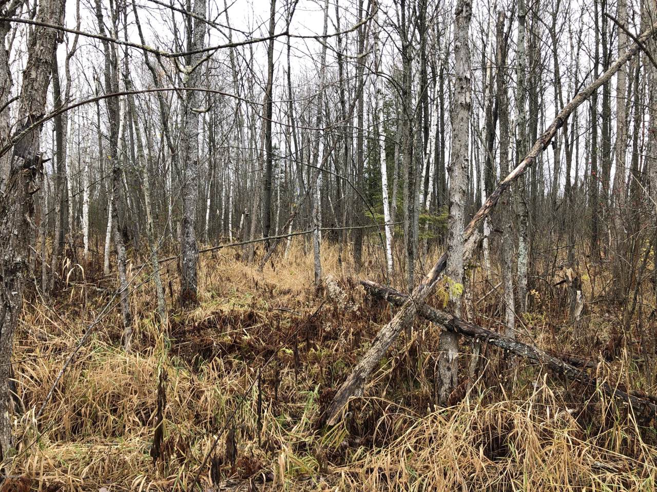 0 Houghton Lake Road - Photo 1
